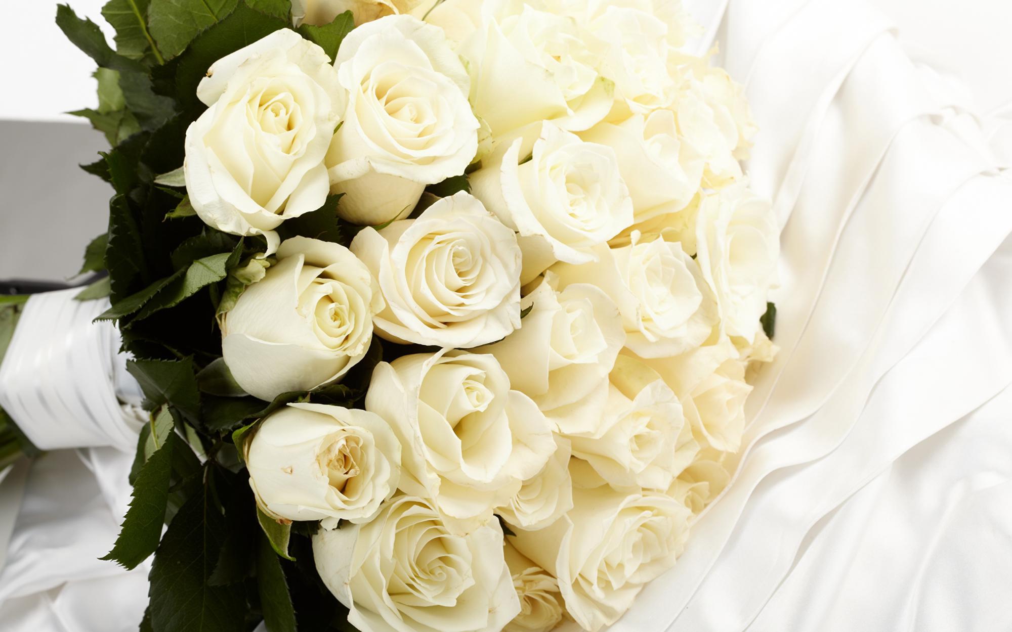 Roses_Bouquets_White_536100_2560x1600.jpg